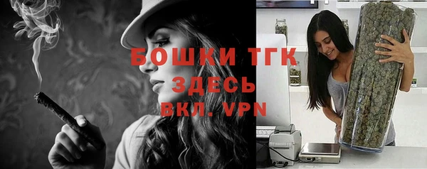 твердый Лиски