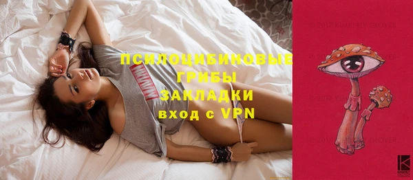 твердый Лиски
