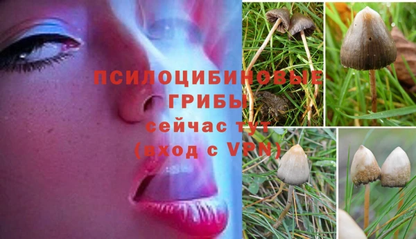 героин Липки